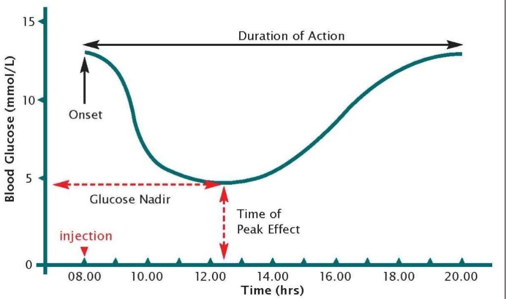 Glucose dag curve