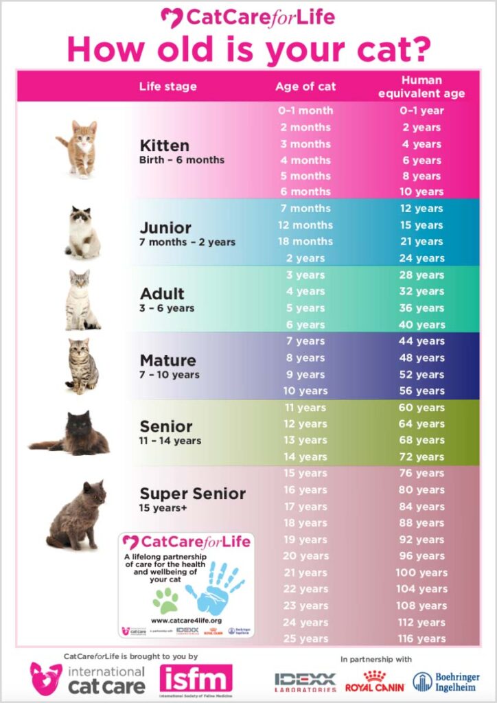 ISFM age chart 