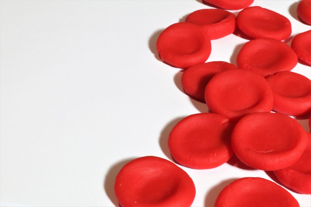 Rode bloedcellen / red blood cells